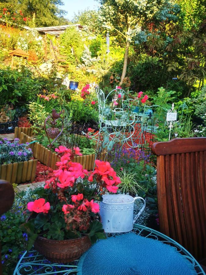 Ferienhaus Mit Riesen Garten, Drei Terrassen, Toller Aussicht Am Waldrand, Auch Als Monteur-Wohnung Hemer Exterior foto